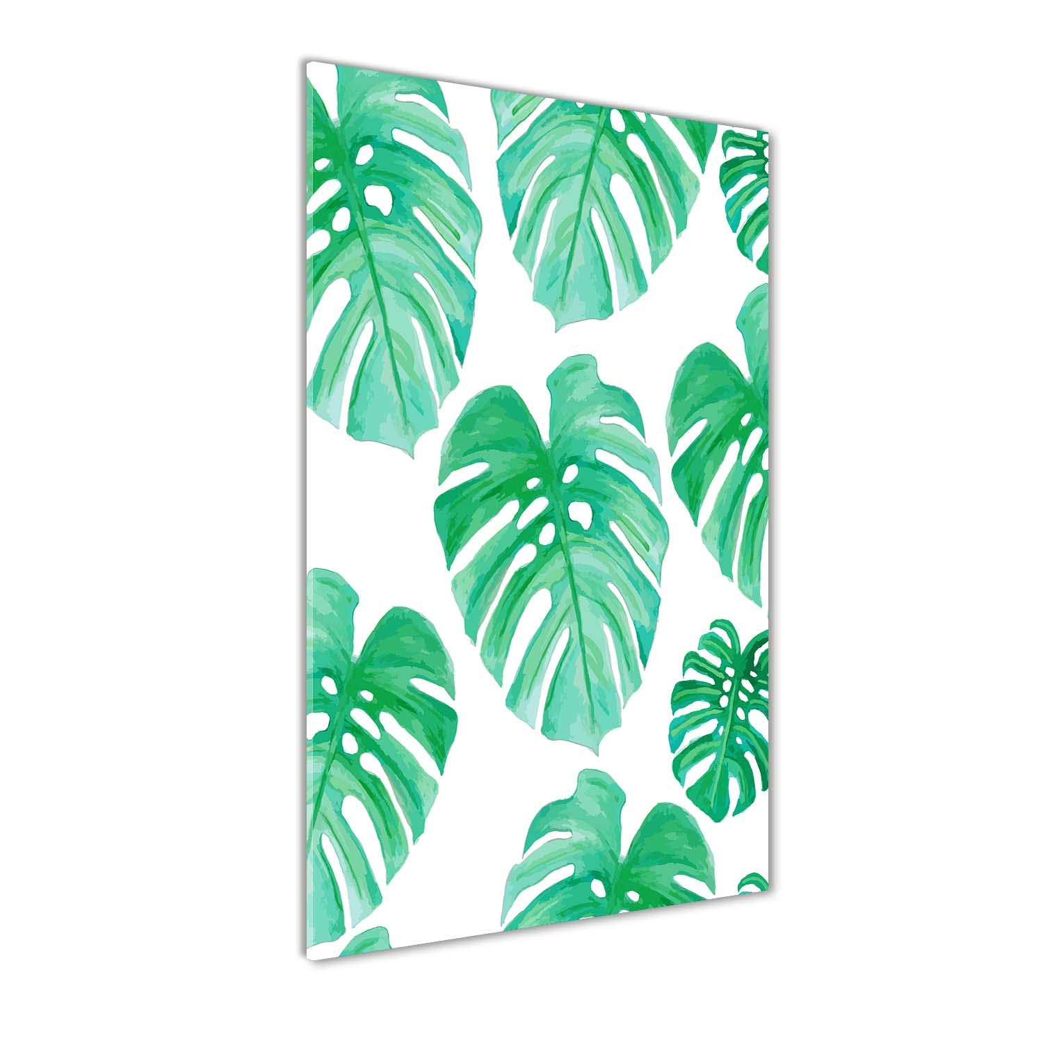Photo décorative cuisine et salon avec motif plante verte monstera