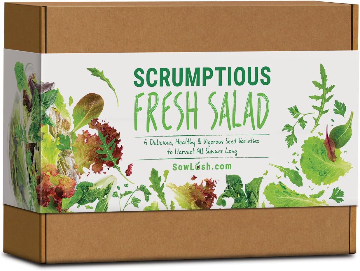 Scrumptious Fresh Salad Gift Seed Kit. 6 Delicious, Grow Your Own Varieties to Harvest All Summer Long.
