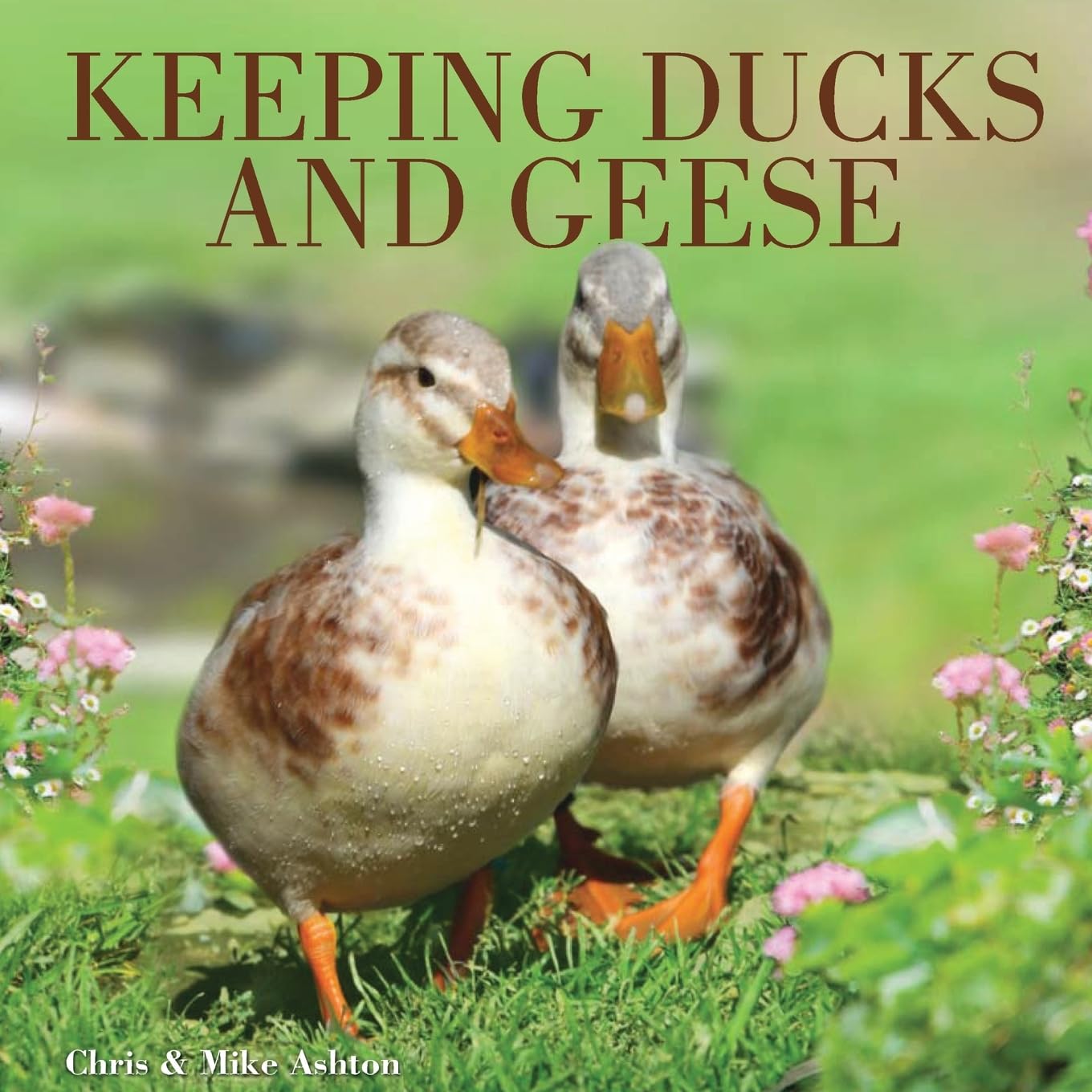 Keeping Ducks  Geese by Chris and Mike Ashton PAPERBACK 9780715331576