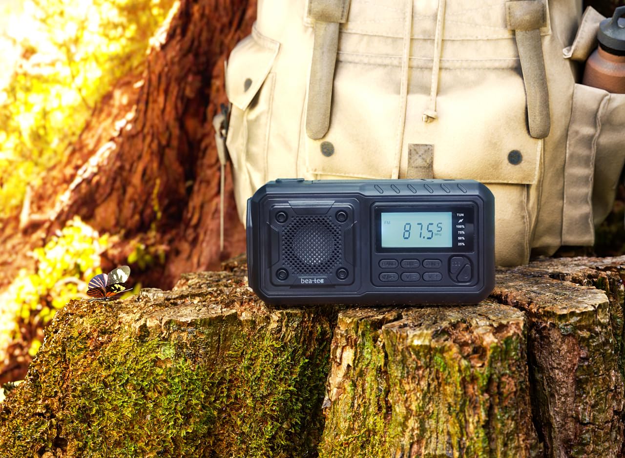 Beafon Btec-rds670 Black - Radio Portátil con Manivela