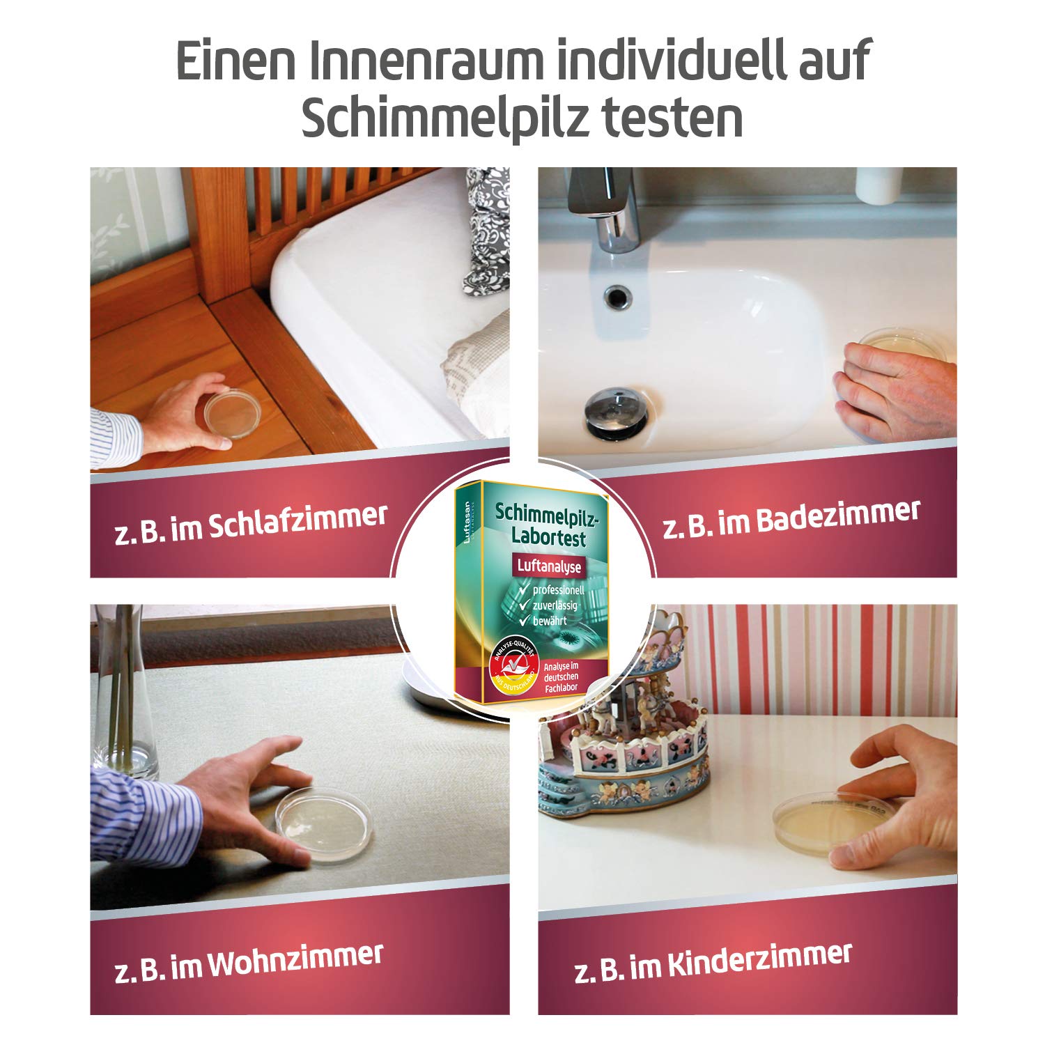 Schimmeltest für die Raumluft – Probenahme-Set für professionelle Analyse | Analyse im Fachlabor