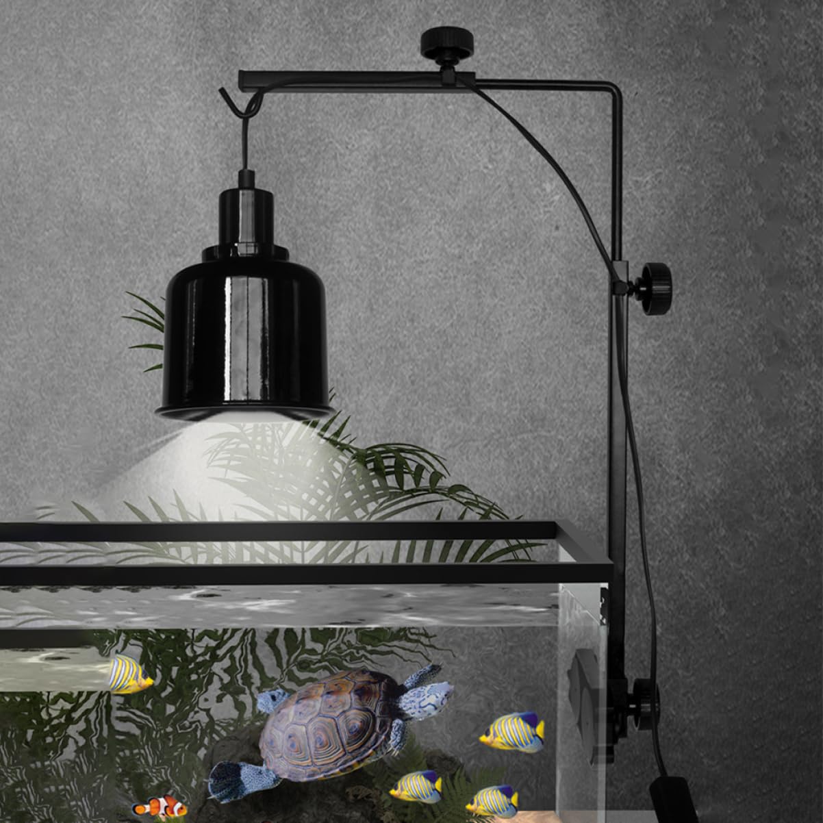 Happyyami Per Lampade per Rettili per Acquari per Lampade per Tartarughe per Allestimenti Terrari e Decorazioni per Acquari
