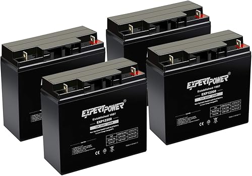 ExpertPower Paquete de 4 baterías recargables de 12 voltios y 20 Ah [EXP12200]