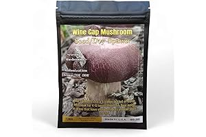 Alice Mushrooms - Nightcap Mushroom Family Wine Cap Mushroom Seed Kit