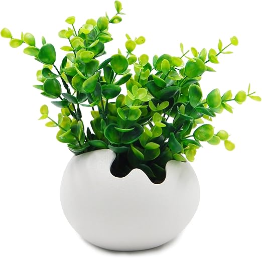 Amazon Tossow 植木鉢 陶器鉢 卵形 多肉植物 サボテン鉢 ハーブ プランター容器 おしゃれ プレゼント ミニ ホワイト 鉢 Amazon Tossow 植木鉢 陶器鉢 卵形 多肉植物 サボテン鉢 ハーブ プランター容器 おしゃれ プレゼント ミニ ホワイト 鉢