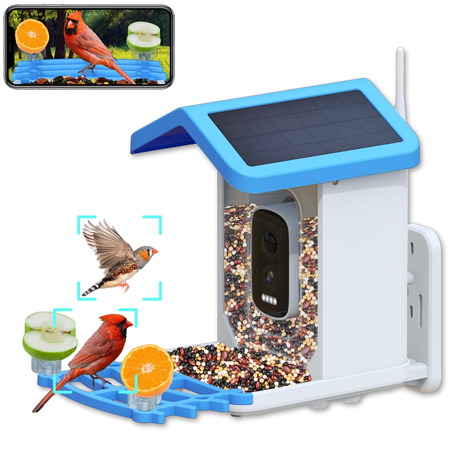 Camera Bird Feeders For Outside Smart Bird Feeder With Camera