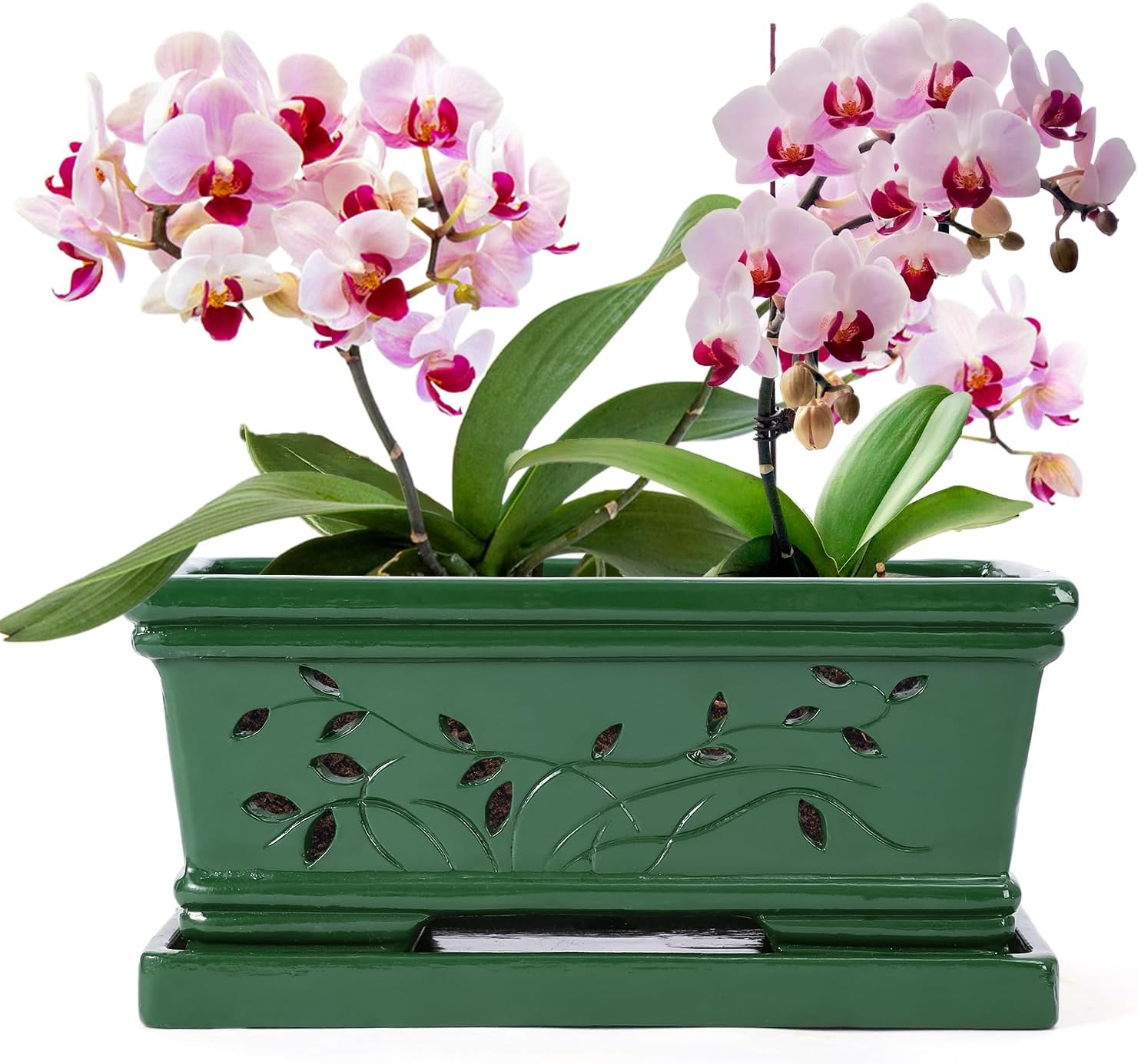 Large Rectangle Terracotta Orchid Pots with Holes Green 12 * 6.3 * 5.3 Inch Clay Orchid Planter Pots with Saucer for Repotting Plant Pots Orchid Indoor Outdoor Promotes Air Circulation Green Large