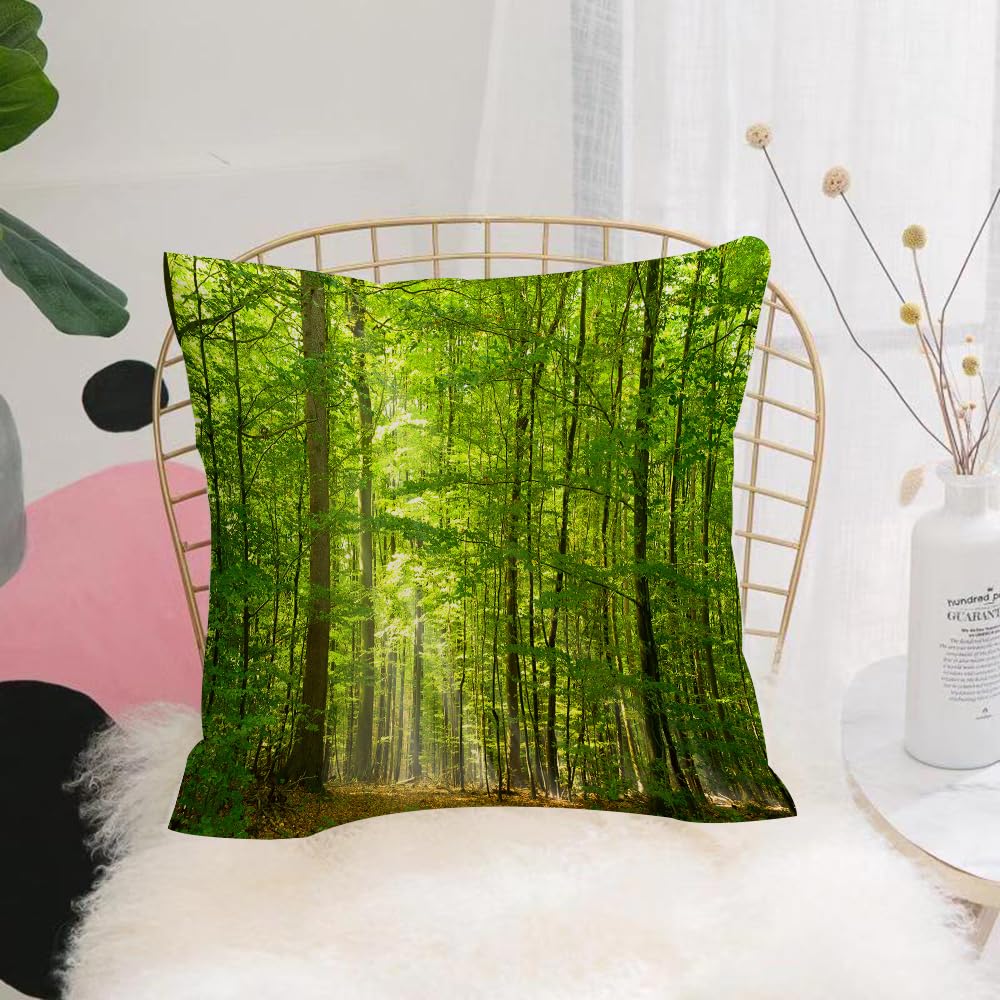 HYMSXW Cushion Cover,Throw Pillow Case Home Decorative for Living Room Bedroom Sofa Chair 20X20 Inch,deciduous forest in summer. Foliage of sunlight. Landscapes of holidays,Pillowcase 50X50cm