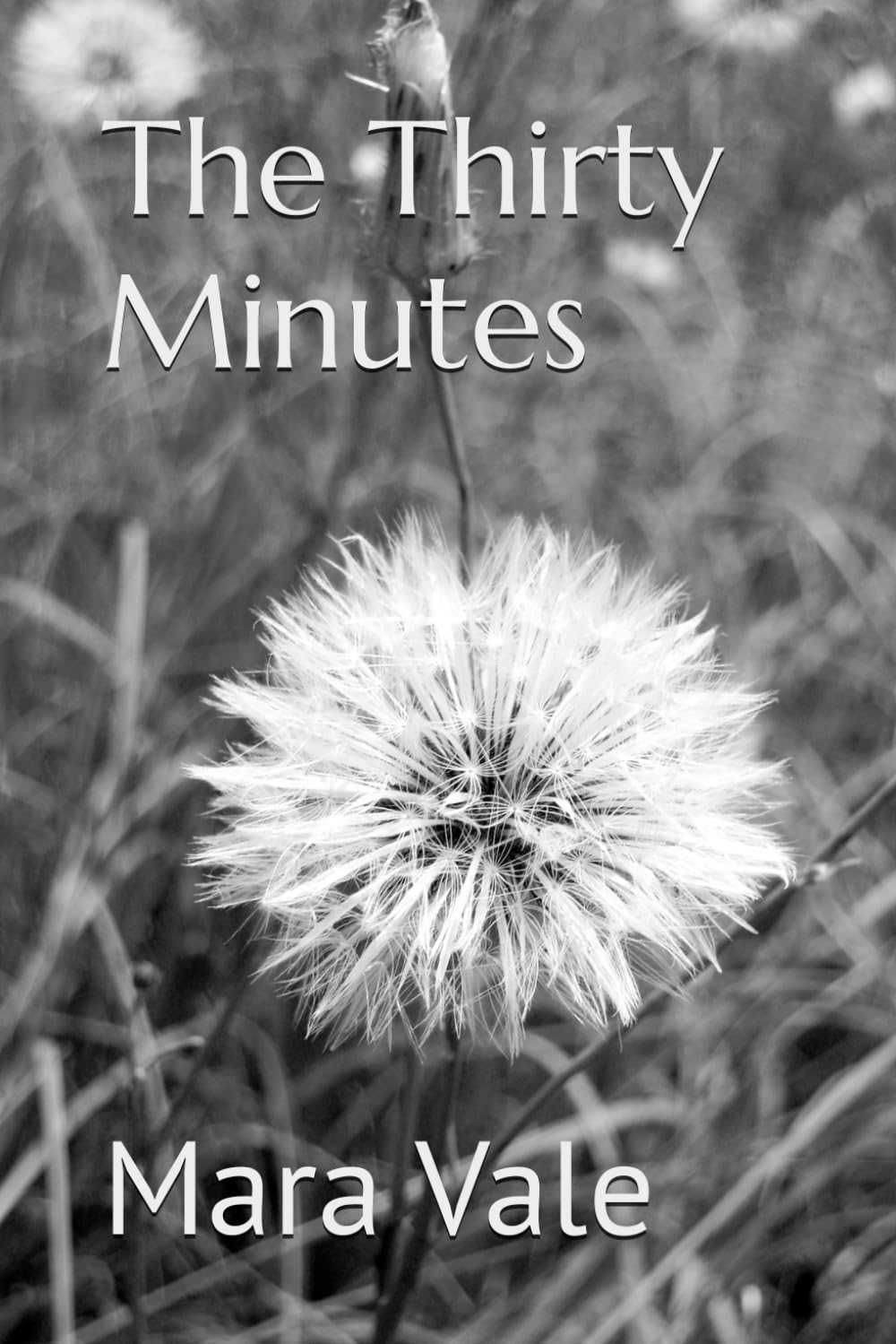 The Thirty Minutes: A Memoir of Recognition