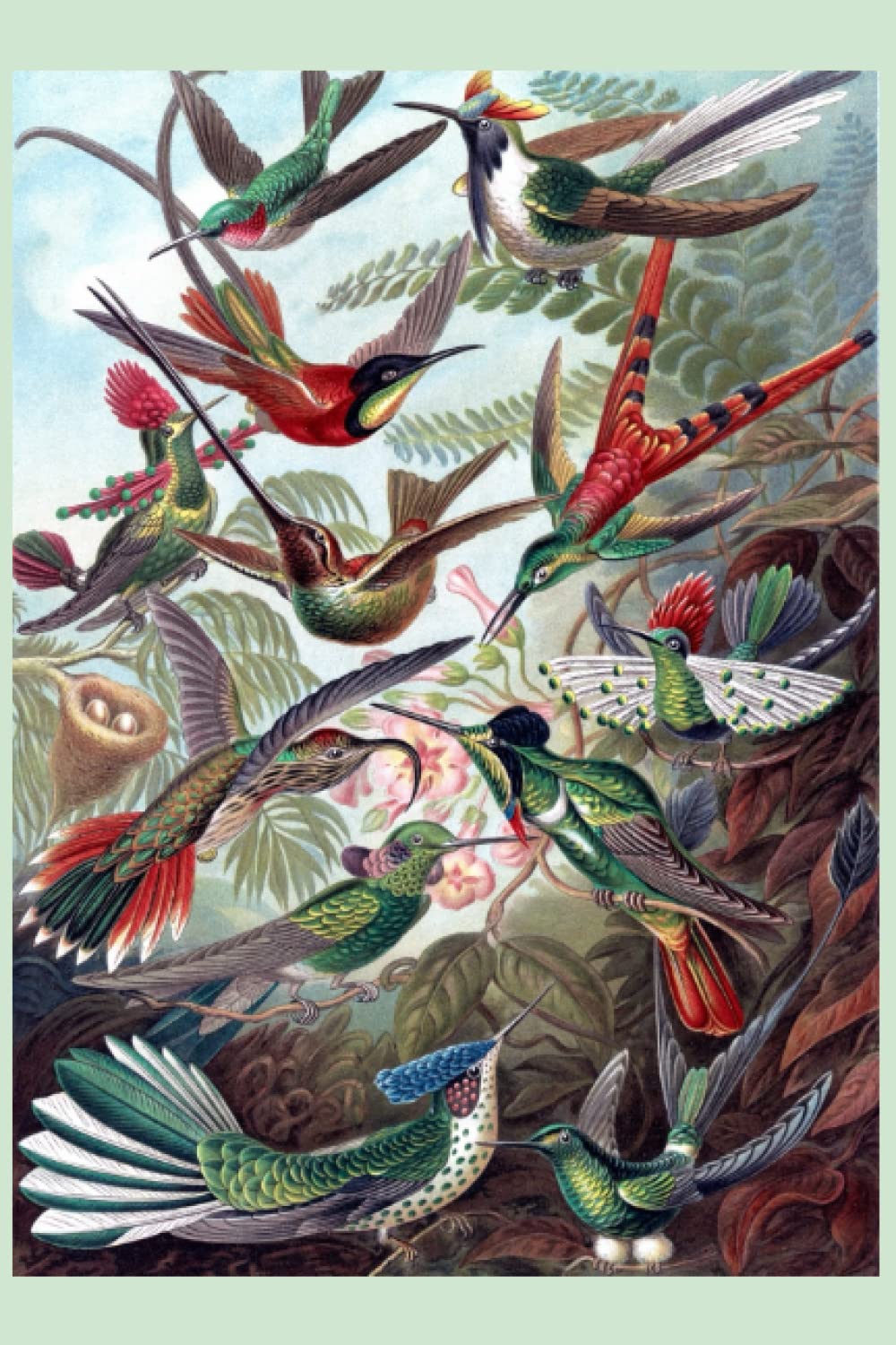 Vintage birds A5 Notebook