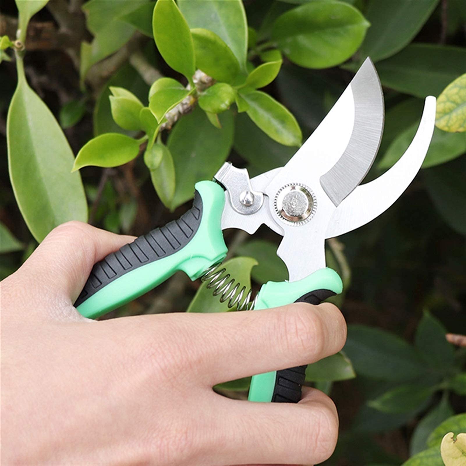 Attrezzi da Giardinaggio Antiscivolo Forbici da Giardinaggio Attrezzi per innesto Cesoie per potatura Alberi Cesoie per potatura Bonsai Cesoie da Giardinaggio Trimmer
