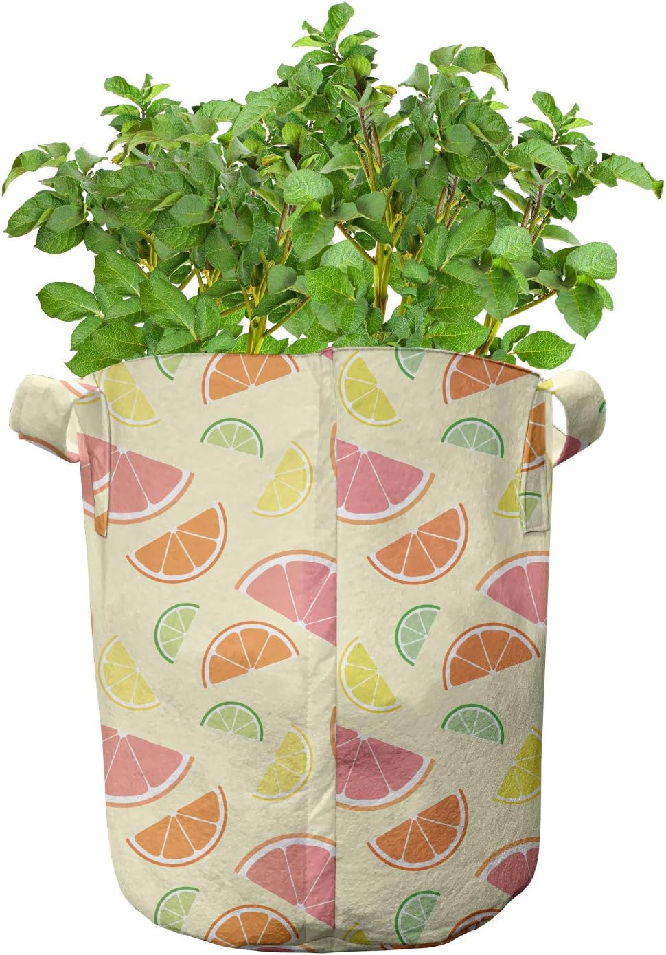 Ambesonne Fruit Grow Bags 5-Pack, Colorful Citrus Art, Heavyduty Fabric Pots with Handles for Plants, Cream and Multicolor