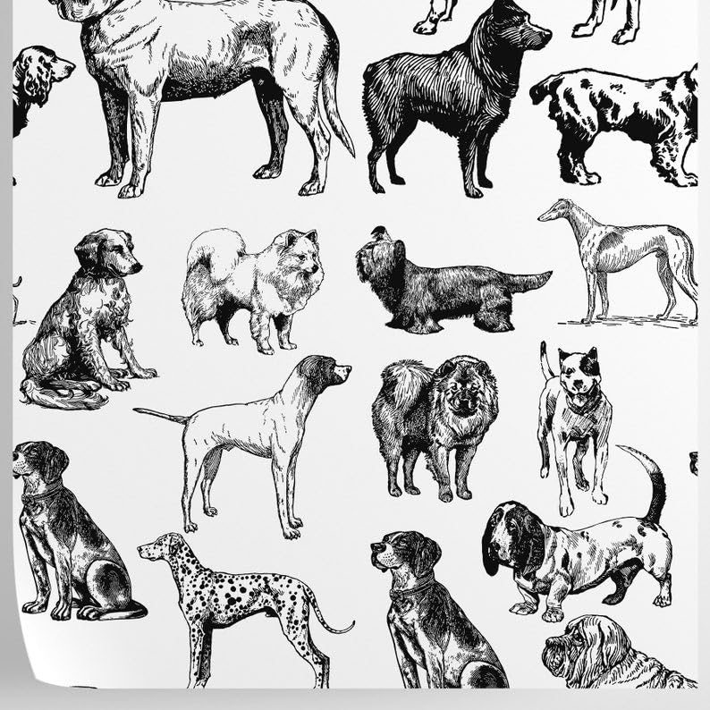 Papier peint pour chiens facile à appliquer matériau écologique W4B pour meubles