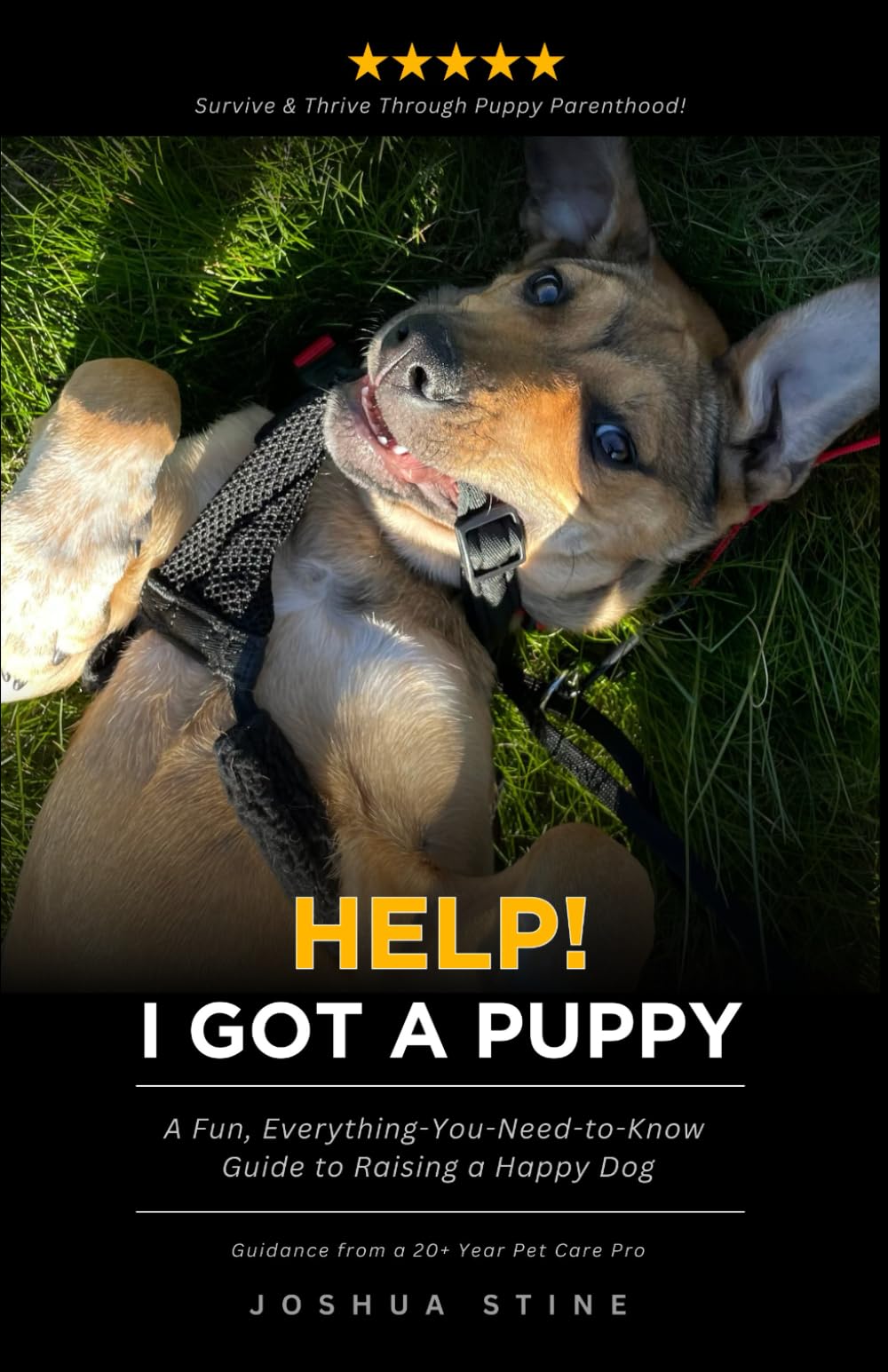Help! I Got a Puppy: A Fun, Everything-You-Need-to-Know Guide to Raising a Happy Dog