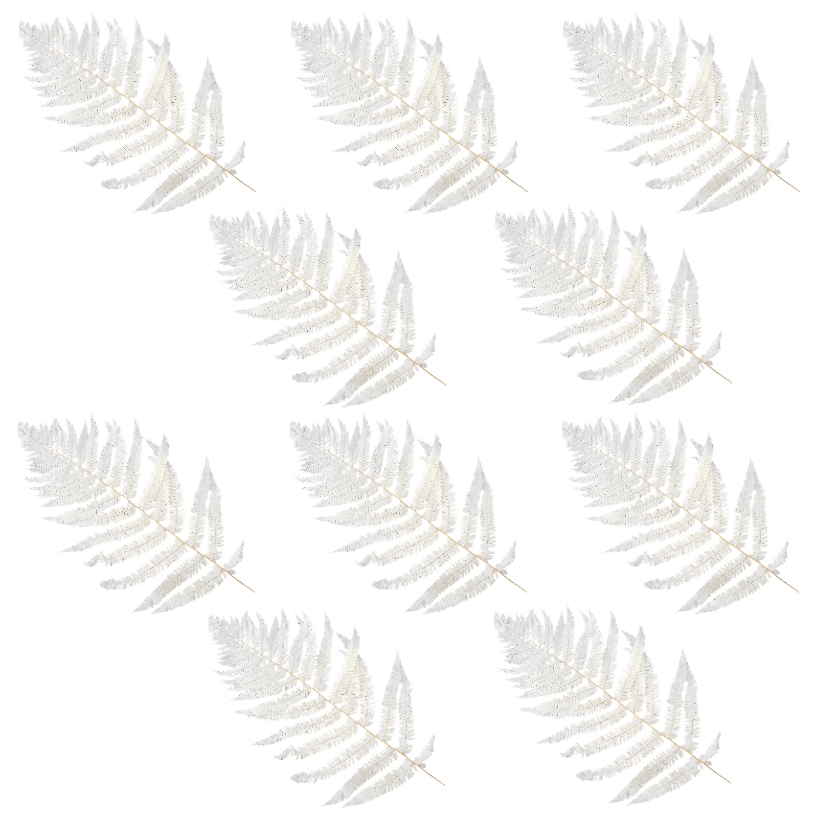 10 pièces de fougères préservées Blanches, tiges de fougère séchées 40 à 50 cm, Feuilles de fougère éternelles, matériau Floral DIY, pour boîte à Fleurs, décoration de Couronne