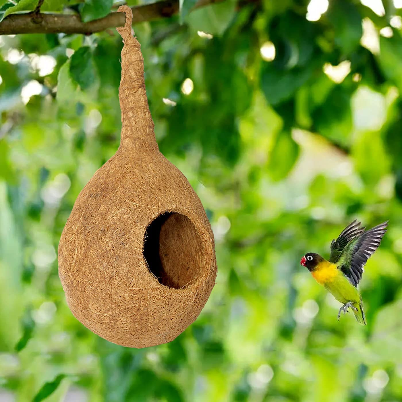 See full amazon price history chart for Ekan Safest Round Organic Hanging Bird Nest Chidiya Ka Ghonsla Purely Handmade Sparrow/Small Birds House Hanging Set of 2 Pcs for Balcony (Brown) Ekan Safest Round Organic Hanging Bird Nest Chidiya Ka Ghonsla Purely Handmade Sparrow/Small Birds House Hanging Set of 2 Pcs for Balcony (Brown) (B0B462RH6Y) Amazon Price History, Amazon Price Tracker