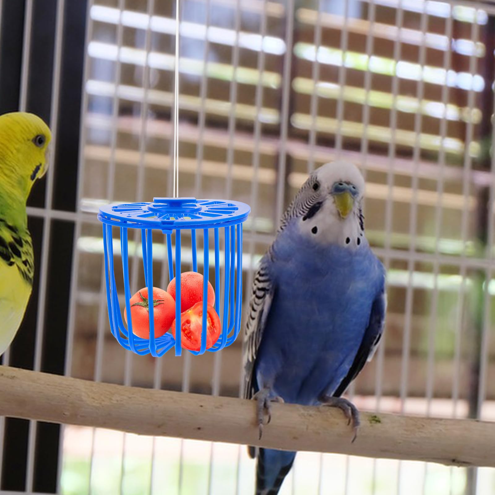 Mipcase Lot de 10 distributeurs de nourriture pour animaux domestiques - Accessoires pour animaux domestiques - Mangeoire à oiseaux - Mangeoire à légumes pour perroquet - Mangeoire à pinsons - Panier