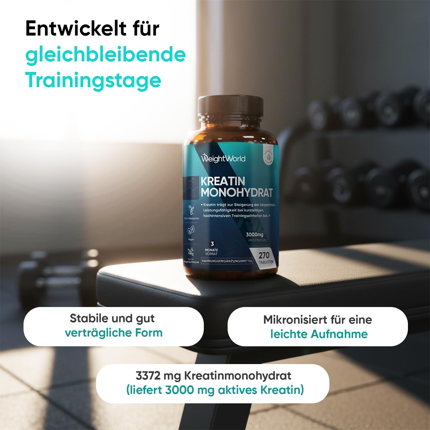 WeightWorld Creatin Monohydrat Tabletten + Multi Kollagen Komplex Pulver