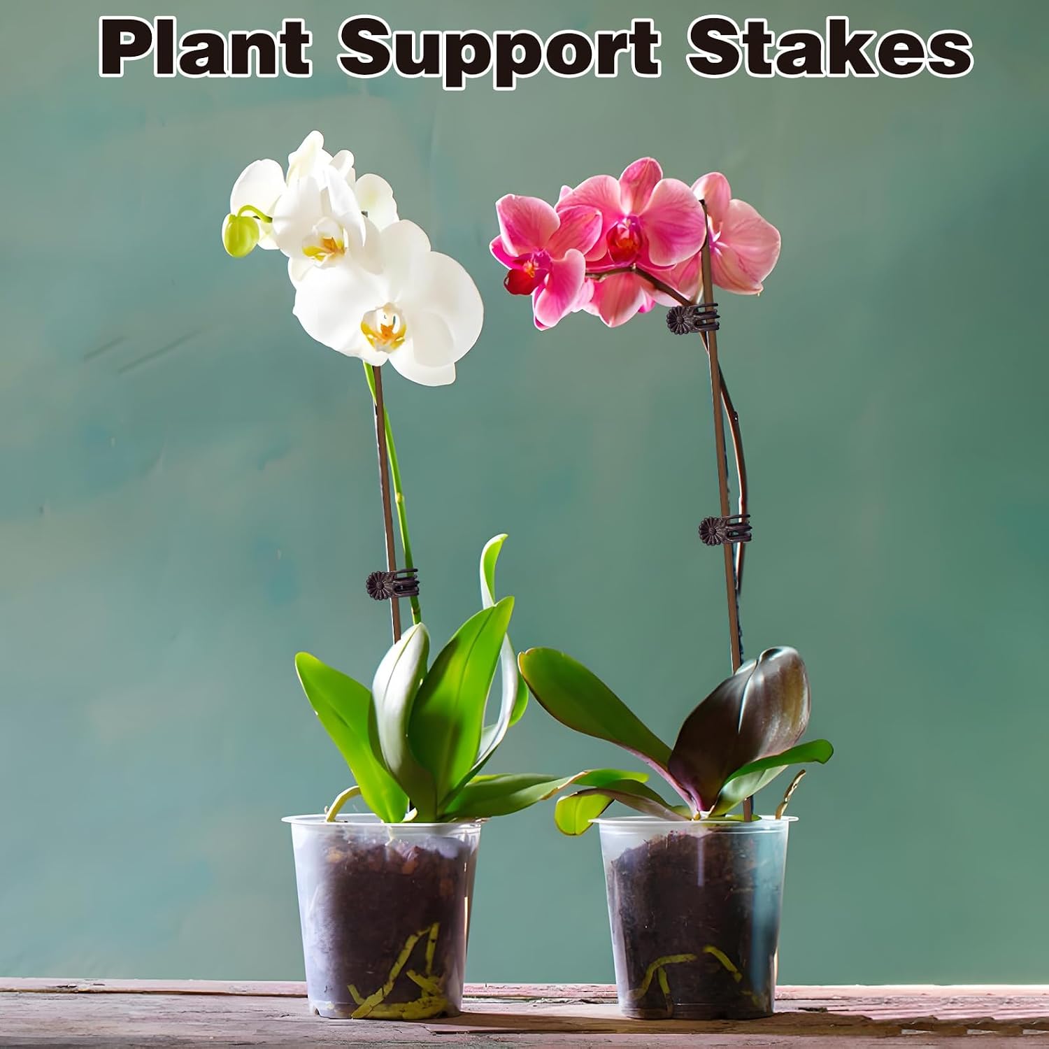 10Pcs Plant Support Stakes with 15Pcs Plant Clips, 15.75inch Tall Bendable Single Stem Sticks Orchid Clips Brown Helps Growth for Indoor Outdoor Flowers Rose Amaryllis image 5