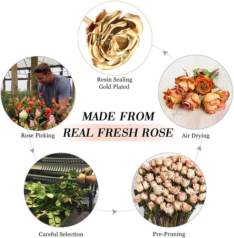 XSMZB Rose Flower Cremation Urns for Ashes Long Stem Colorful Rose Flower Cremation Keepsake for Ashes Memorial Funeral Urn Holder Ashes for Pet/Human