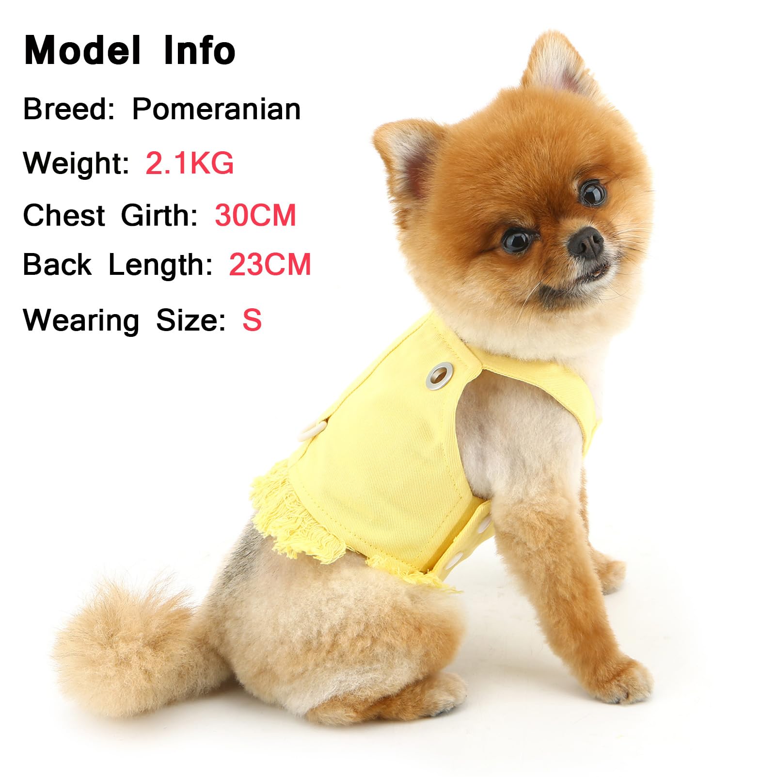 PAIDEFUL Vêtements Pour Petits Chiens Garçon Fille été Rayé Chiot T-Shirt  Gilet Respirant Coton T-Shirt Sans Manches Chihuahua Yorkshire Bleu XXL, image size:1603x1603