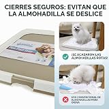 Ver la foto 6