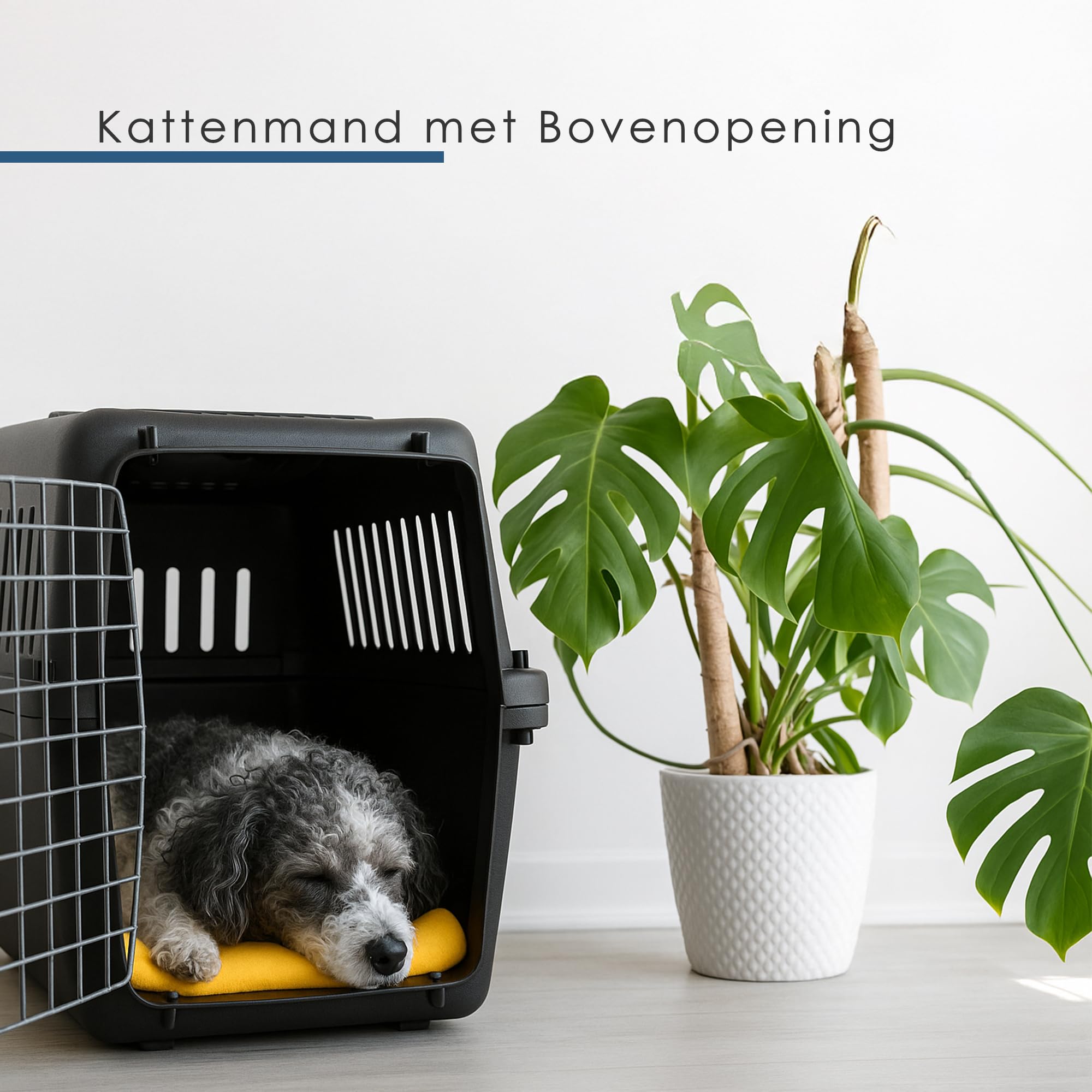 Katzenbank / Hundebank Klein 50x35x34 cm - Transportbox Katze & Kleiner Hund bis 12 kg - Zerlegbarer Reisekorb mit Schrauben - Tragbare Kunststoff-Transportbox Schwarz