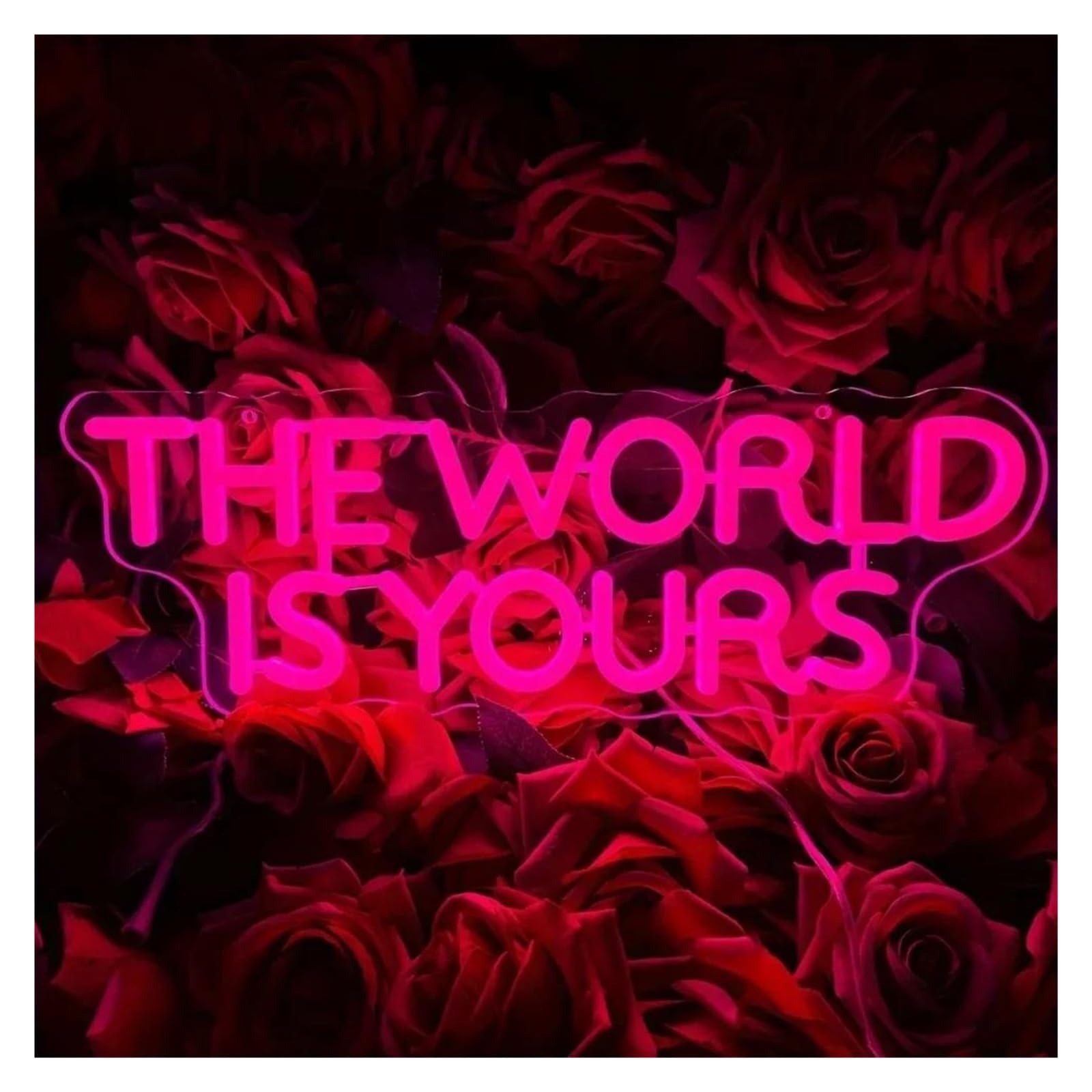 SHOUXI Sign Lamp The World is Yours Neon Sign, Light for Wall Decor, USB Power for Man Cave Home Bar Bistro Club Cafe Game Room 39cmх14cm(C)
