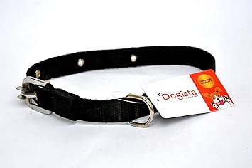 Dogista pet products Nylon Dog Collar 0. 75 inch (Color May Vary) Medium
