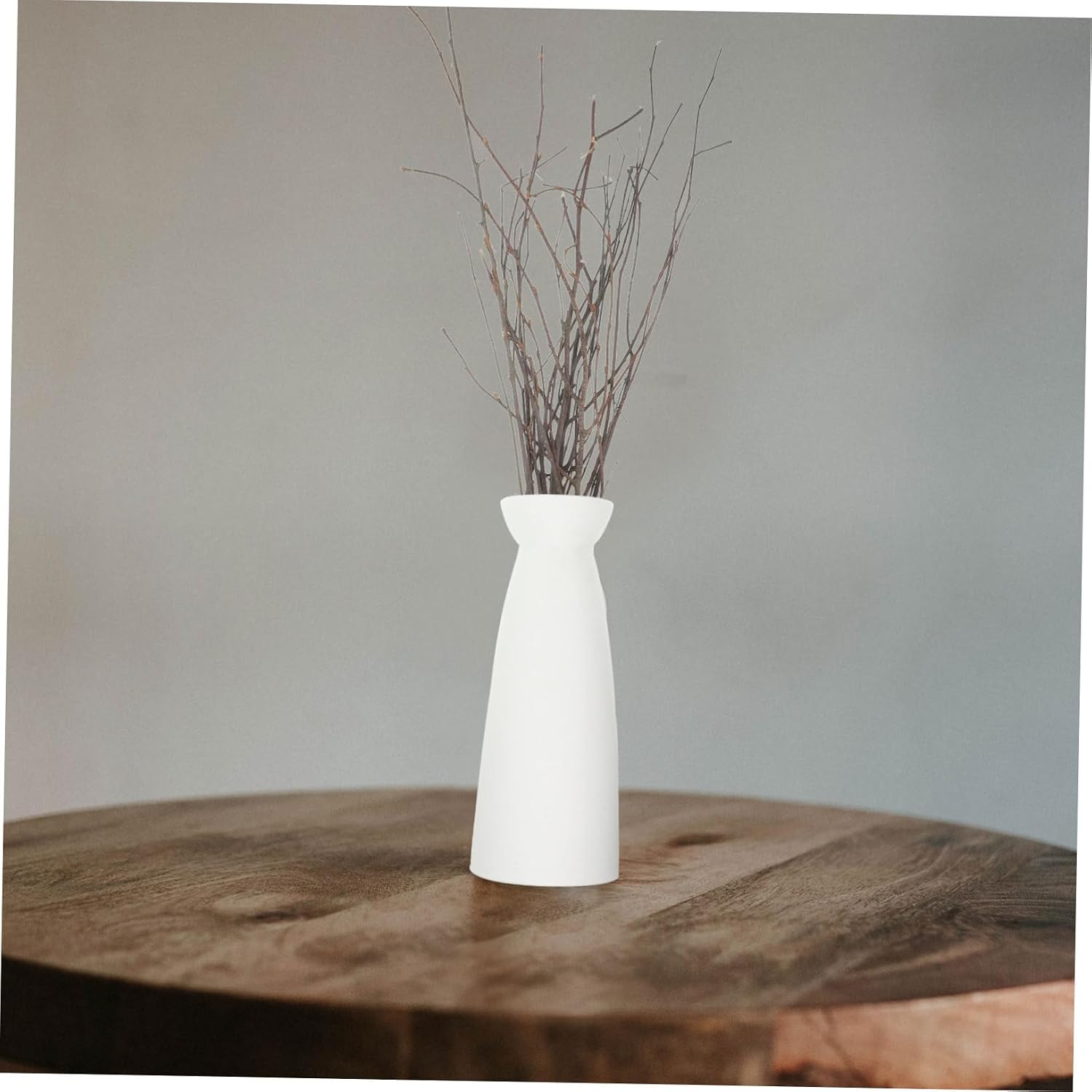 Alipis 10pcs Birch Twig Branches for Home Decoration Natural Dried Stems Versatile Decorative Branches for Vases and Centerpieces Rustic Decor for Weddings and Events