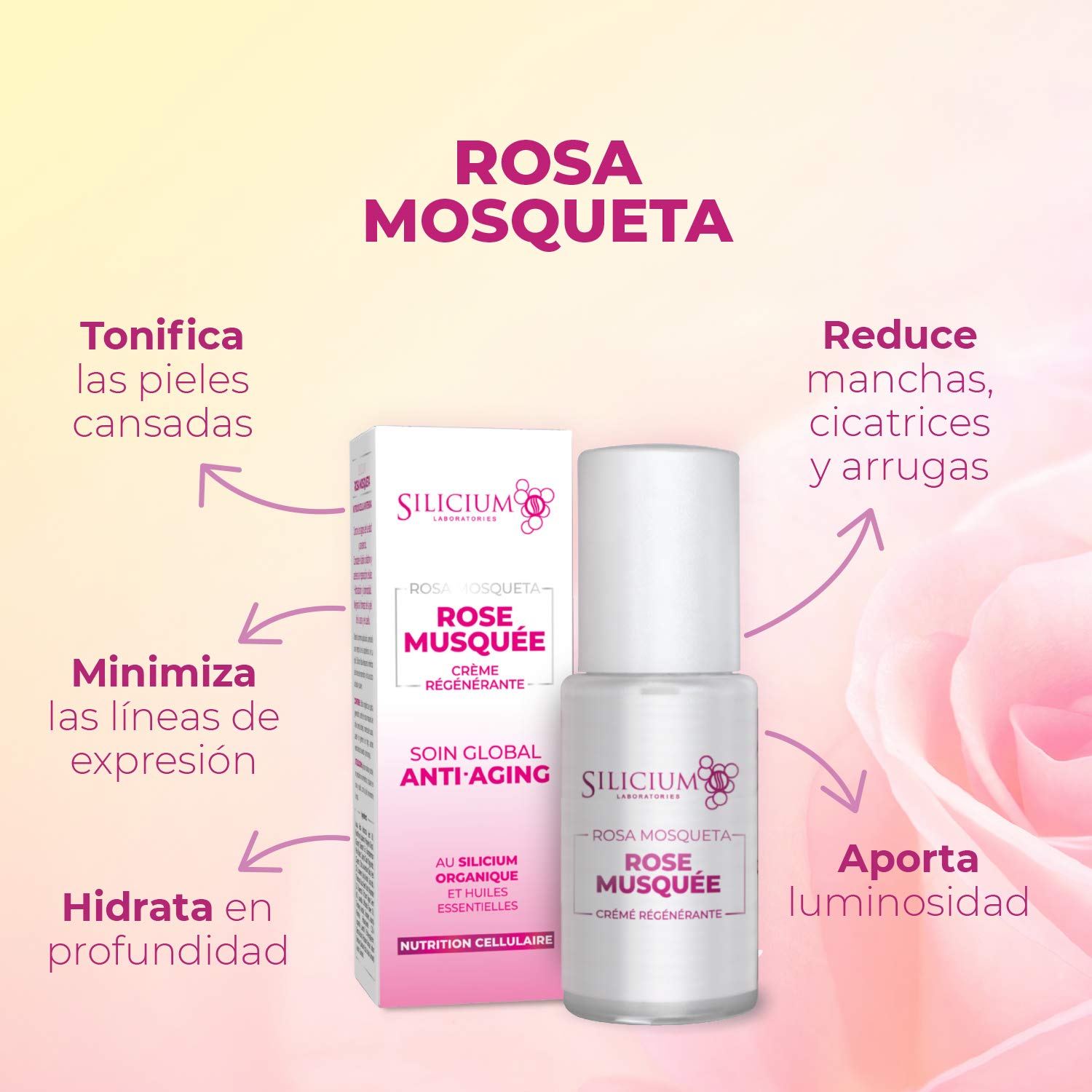 Silicium Rose Musquée. Anti Alterungs Creme. Feuchtigkeit und Leuchtkraft für die Haut. Bestehend aus Silizium und Chilenisches Hagebuttenöl für die Gesichtspflege. 50 ml Behälter mit Spender.