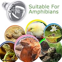 Vista 5 de MIXJOY Bombilla de calor para reptiles de 125 W, bombilla de luz UVA UVB autobalastada de alta intensidad, luz solar de espectro completo para uso