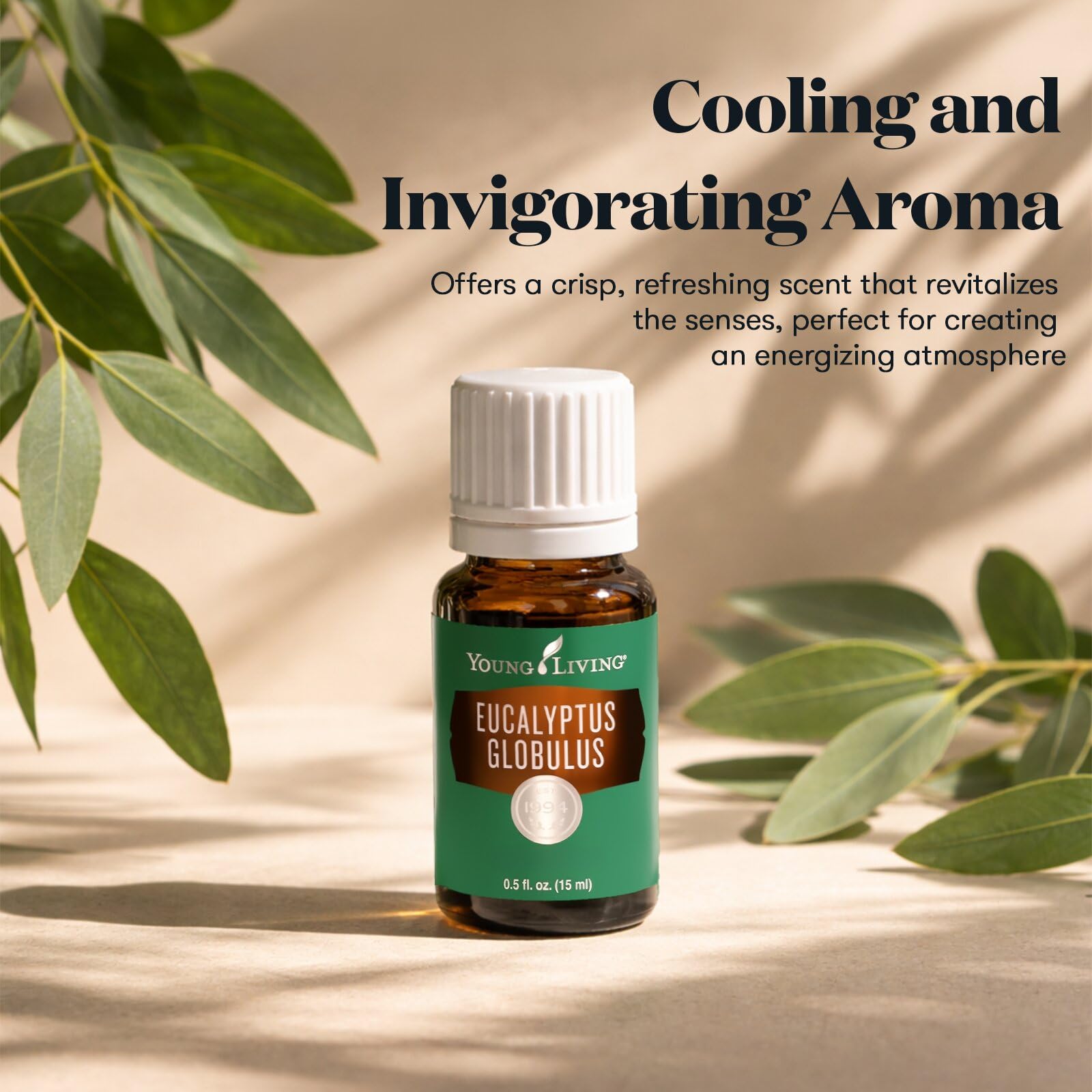 Amazon.com: Young Living Eucalyptus Globulus Essential Oil | 15 ml