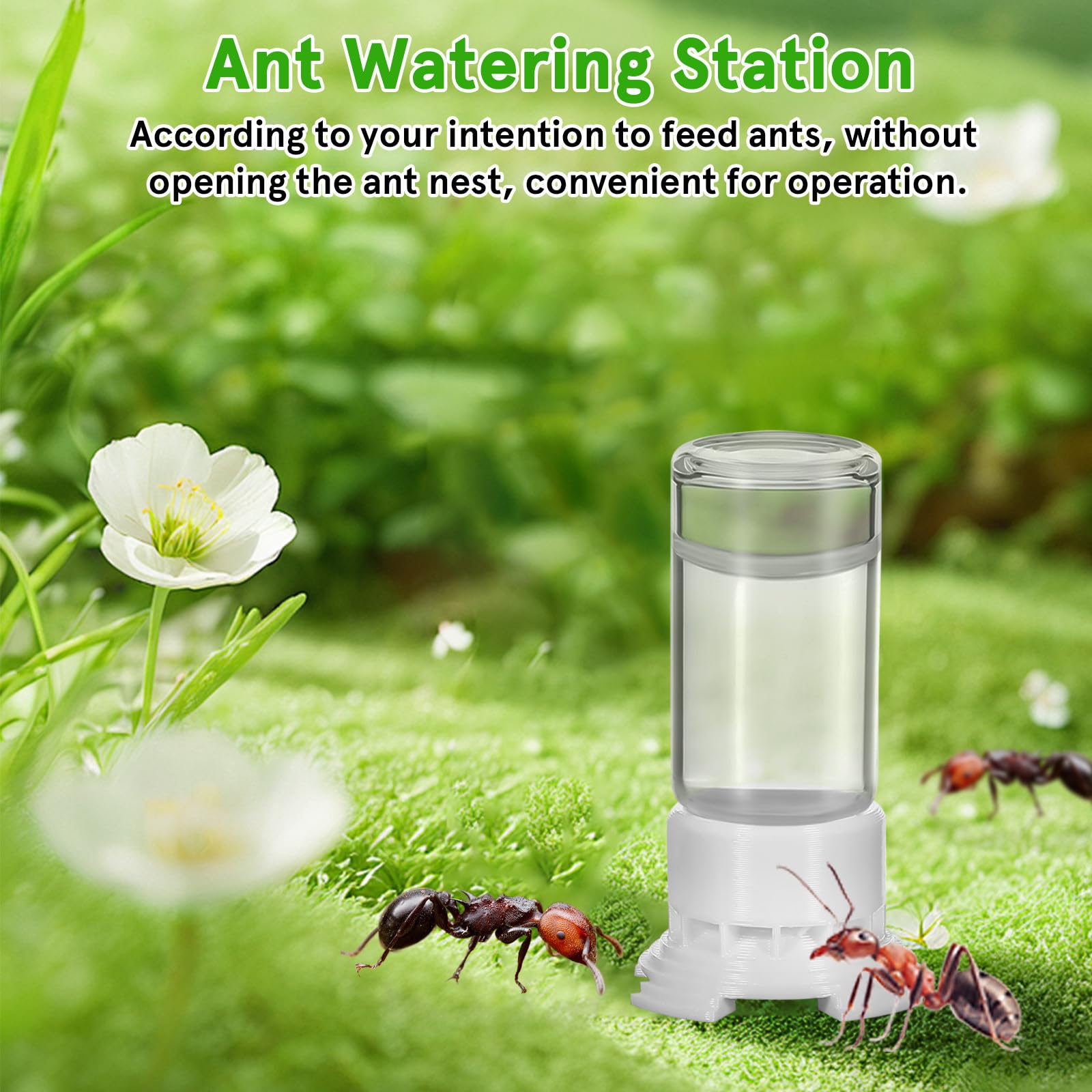 HEMOTON Bebedero para Hormigas 2 Piezas 5 Ml Plástico y Acrílico Transparente Taza Pequeña para Nido Comedero Agua Portátil para Cuidado y Alimentación de Colonias en Terrarios