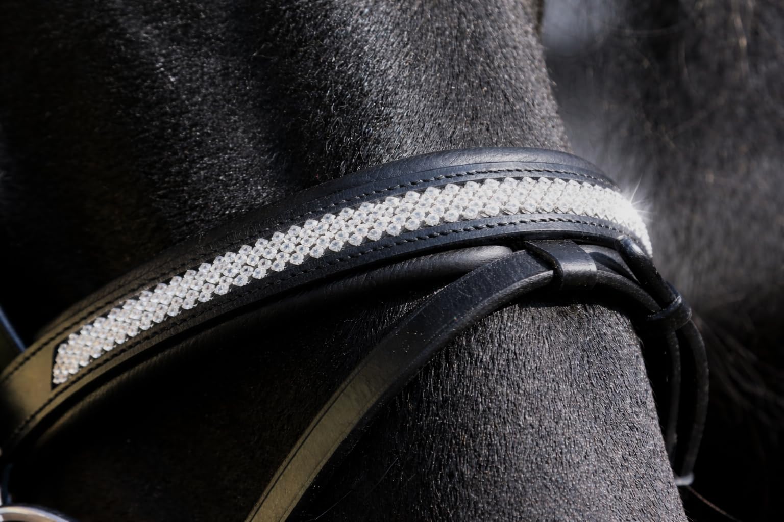 Tysons Breeches Trense Diamanti Super Strass Stirn und Nase Leder weich VB WB X - Full Schwarz Reitzaum Strass Glitzer Glitzertrense Ledertrense Zaum ergonomisch