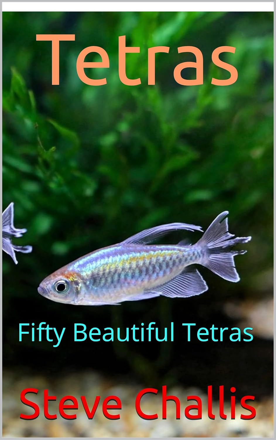 Tetras: Fifty Beautiful Tetras      Kindle Edition