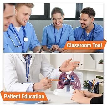 GPI Anatomicals Lung Model Set with Pathologies