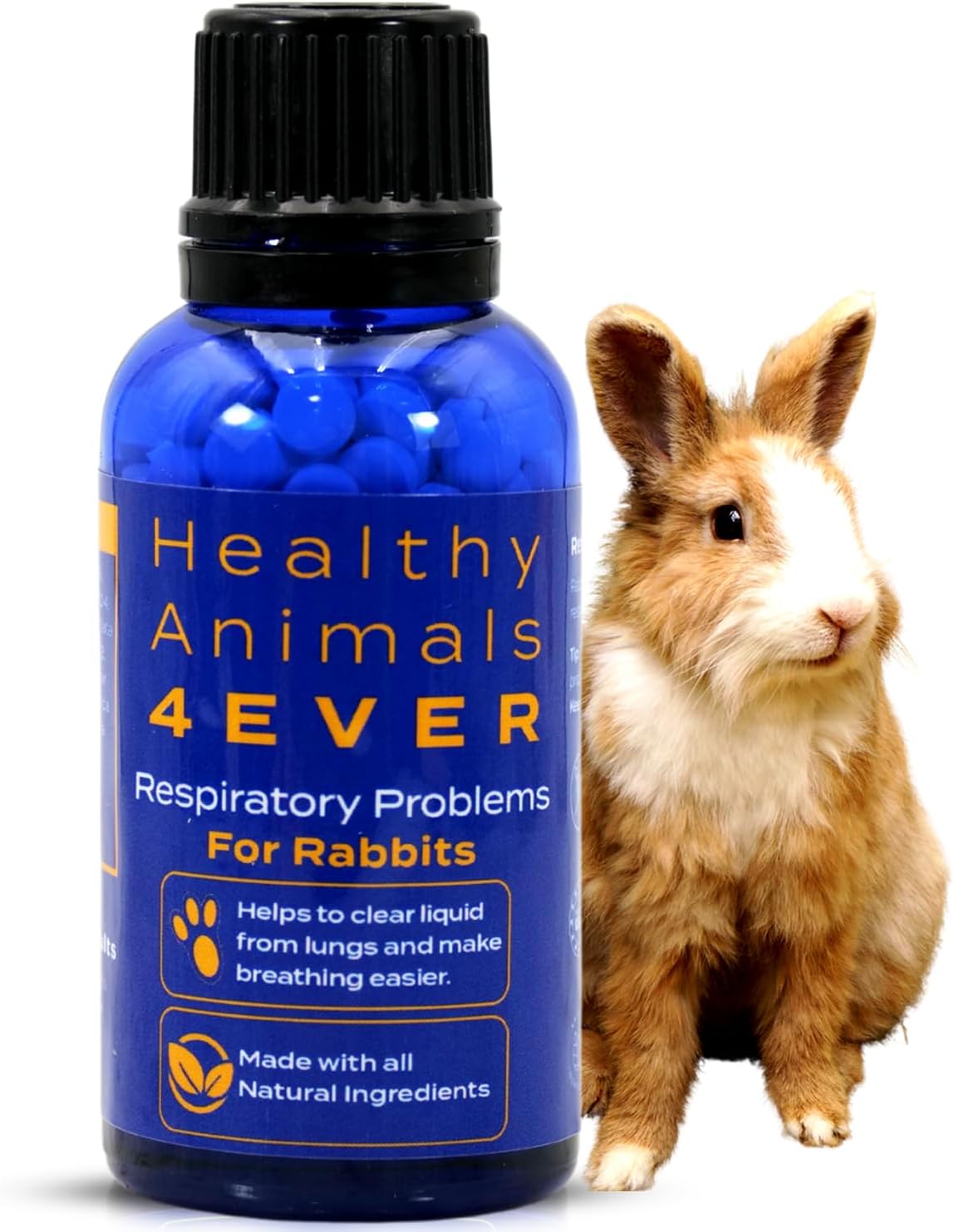 Amazon.com : HealthyAnimals4Ever All-Natural Rabbit Respiratory ...