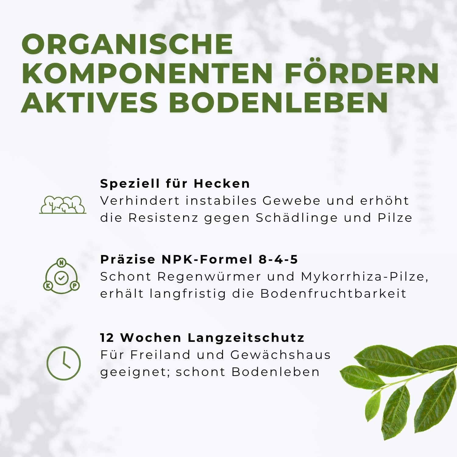 Flora Boost PRO Hecken Dünger 5 kg I Langzeitdünger NPK 8-4-5 für Thuja, Liguster, Hainbuche & Kirschlorbeer I Granulat für dichte Hecken, kräftiges Wachstum & gesunde Pflanzen