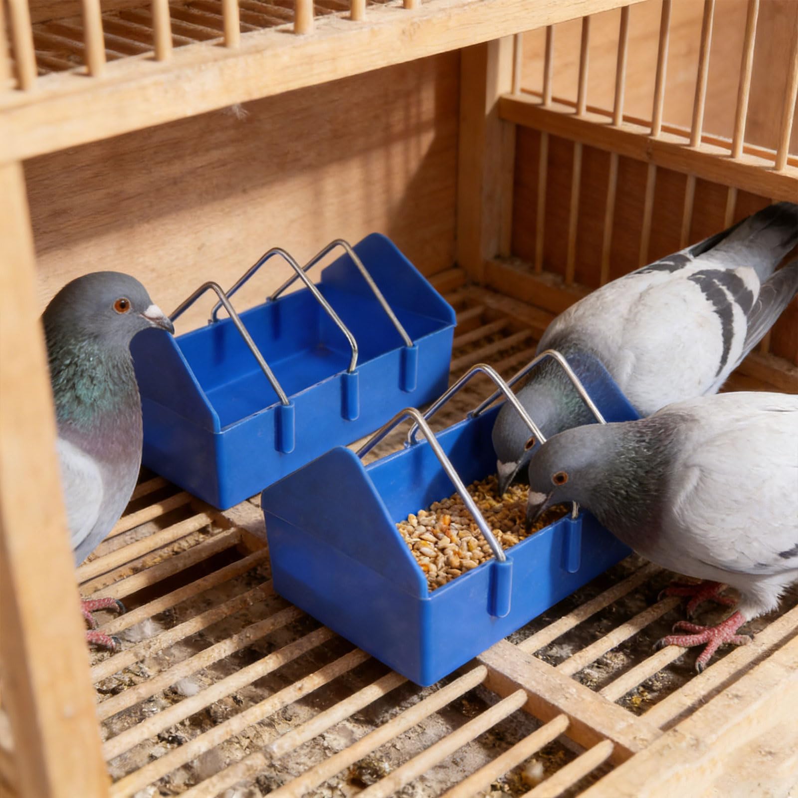 Verdickte Futterspender für Vögel, Tauben, Hühnerfutter, Brunnen für Vögel, Küken, Futternapf, Schlitzbehälter, Futterspender, Werkzeug