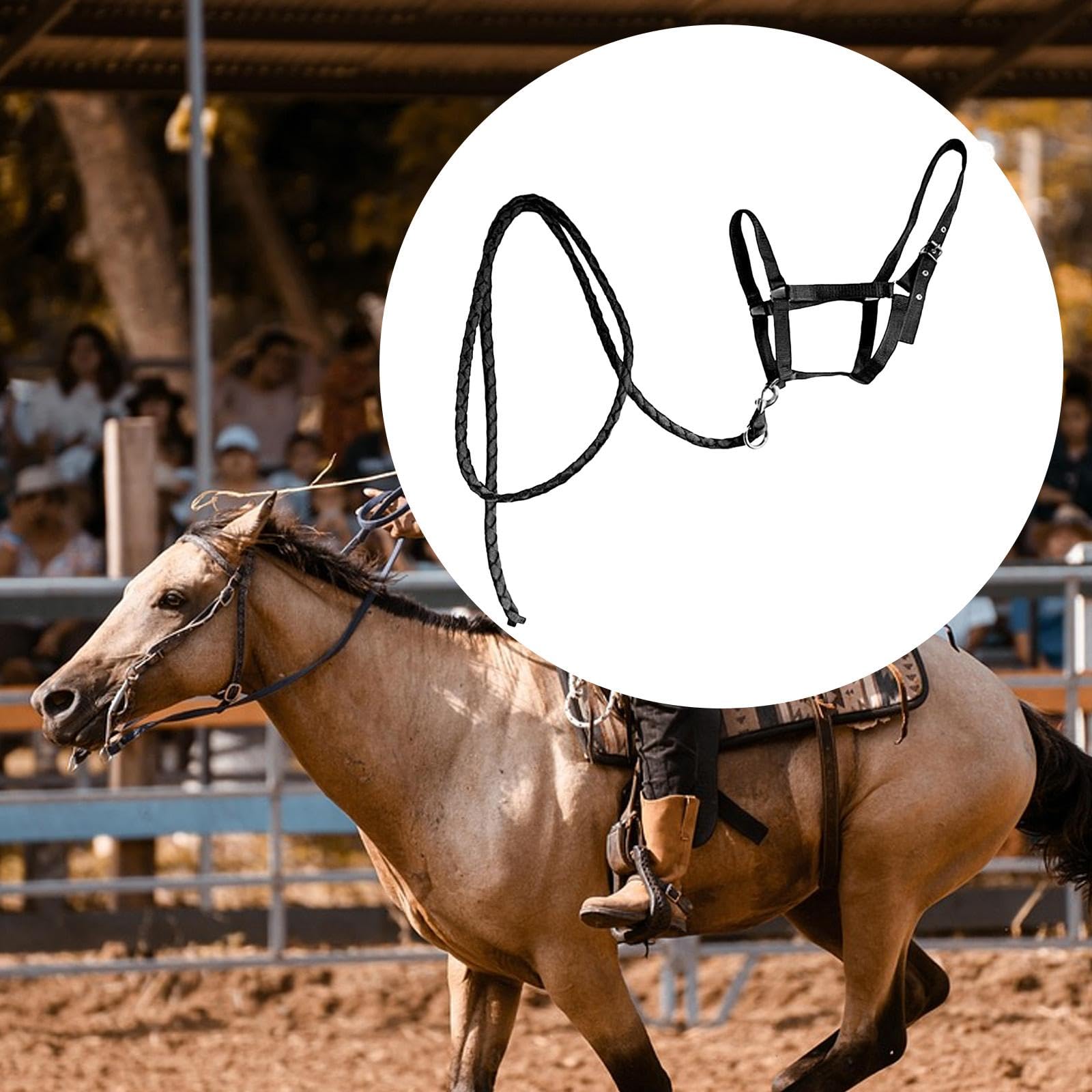LOVIVER Cavezza per Cavallo con Redine Imbracatura Regolabile in Nylon Durevole Attrezzatura per Equitazione con Comfort Superiore Adatta a Raduni E