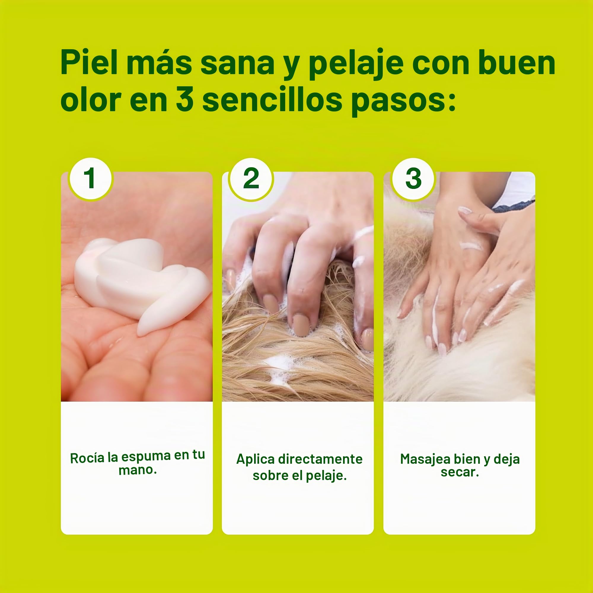 Douxo S3 SEB Mousse, Contiene 0.5% de ofitrio, Control de olores y seborregulador, para Piel Grasa a escamosa, seborrea, para Perros y Gatos, 5 onzas líquidas