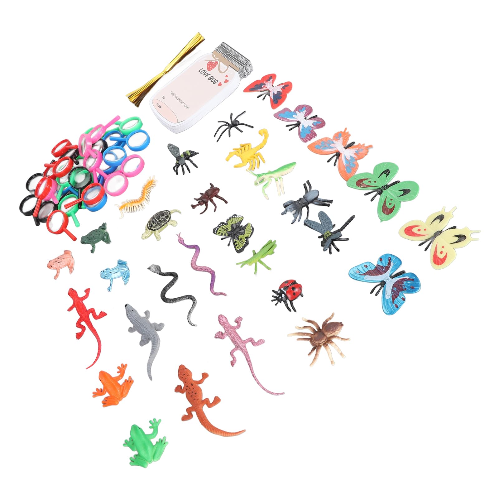 Cocoarm Biglietti di San Carta e Plastica Set di Carte Regalo con Insetti d'amore 30 Biglietti con Decorazioni di Insetti Facile da Montare per Bambini Adulti Feste in Classe e Bomboniere di San