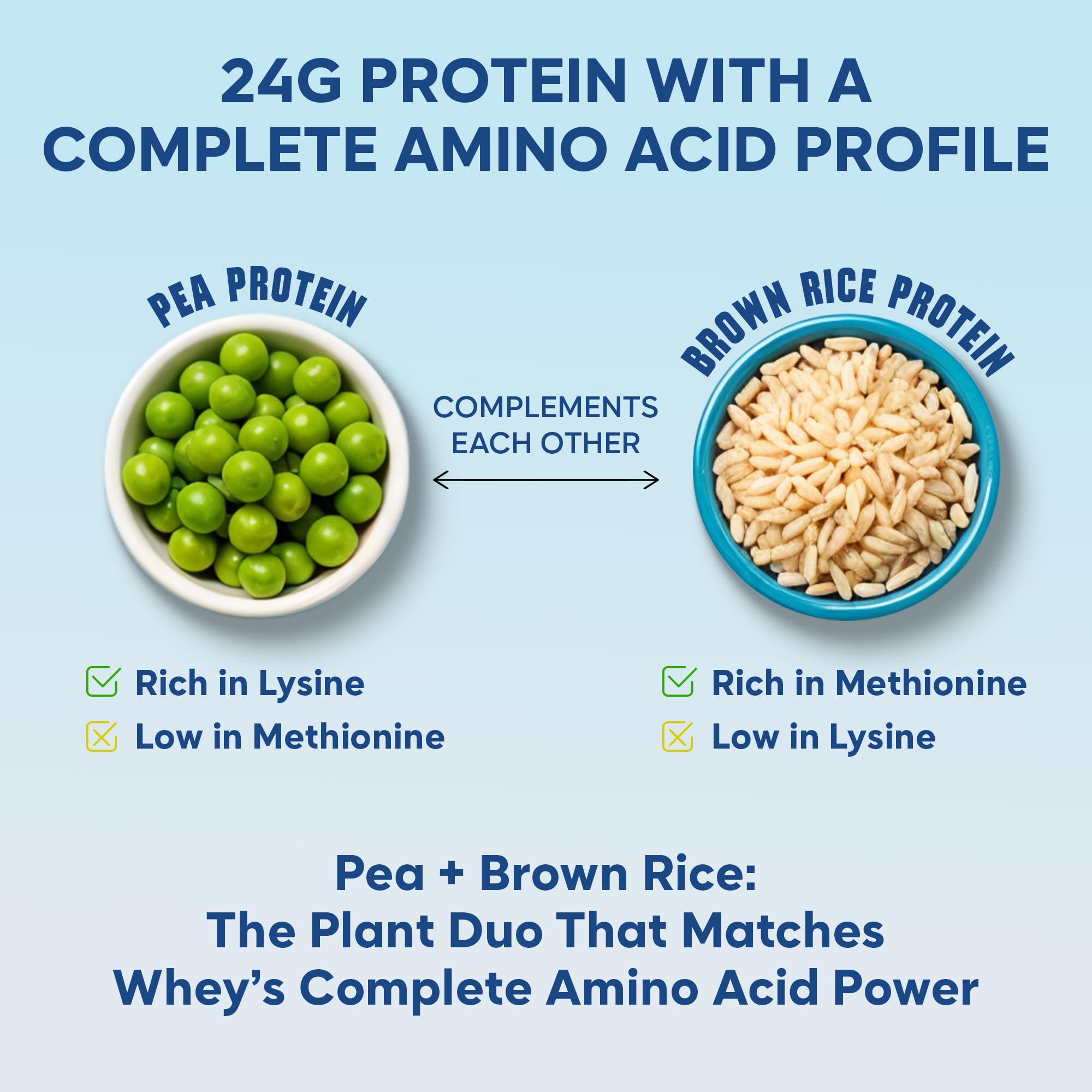 Foodstrong Gut Friendly Plant Protein - Vanilla | 24g Complete Plant Protein with Probiotics, Digestive Enzymes, Prebiotics & Indian Herbs | Vegan | No Sugar | 500g — Amazon image 4
