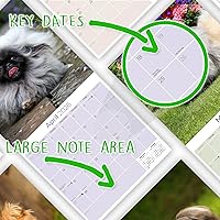 Vista 84 de Razas de Perros 2017