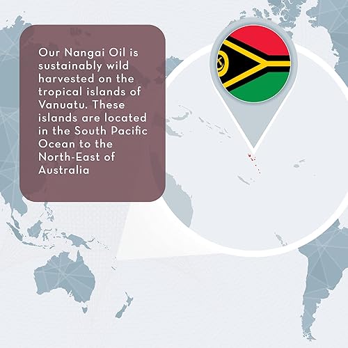 Miniatura 3 de Pure Body Naturals Aceite de Nangai, 4 fl oz - Cosechado silvestre y prensado en frío en Vanuatu - Sin diluir y 100% puro