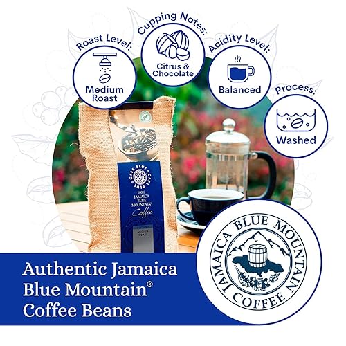 Miniatura 5 de Cafe Blue - 100 auténtico café Jamaica Blue Mountain de Clifton Mount Estate café de grano entero de tostado medio granos de café arábica premium