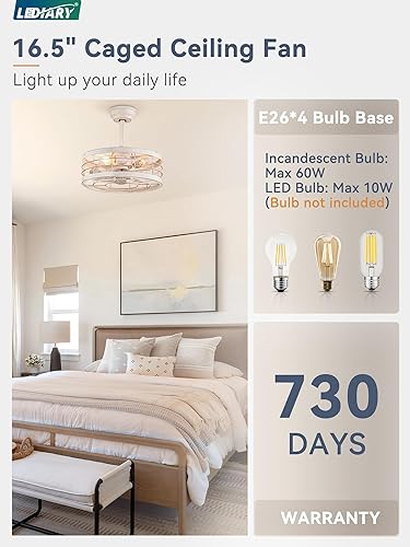 Miniatura 32 de LEDIARY Ventilador de techo enjaulado Fandelier de 20 pulgadas con luz, ventilador de techo sin aspas con control remoto, pequeñas luces de Negro y