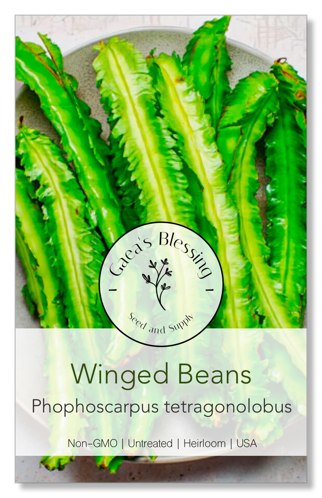 Amazon.com : Gaea's Blessing Seeds - Winged Bean Seeds - Non-GMO