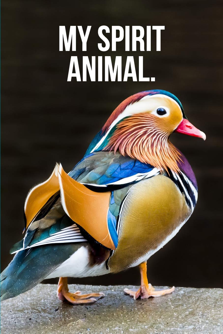 My Spirit Animal: Mandarin Duck Journal